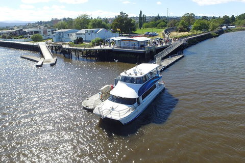 2.5 Hour Morning Discovery Cruise Including Sailing Into The Cataract Gorge - Tourism Hervey Bay 3