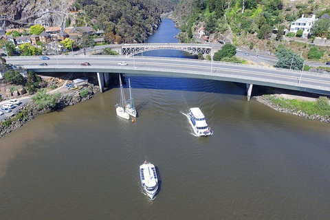 2.50 Hour Afternoon Discovery Cruise Including Cataract Gorge Departing At 3 Pm - Hervey Bay Accommodation 1