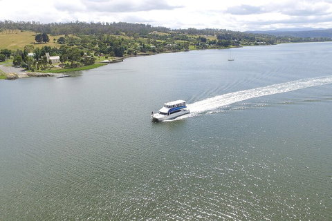 2.50 Hour Afternoon Discovery Cruise Including Cataract Gorge Departing At 3 Pm - Hervey Bay Accommodation 4