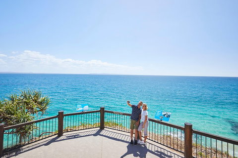 Noosa Everglades Serenity Cruise & Highlights Tour Inc. Lunch & Cruise - Hervey Bay Accommodation 3