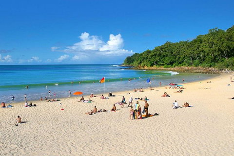 Noosa Everglades Serenity Cruise & Highlights Tour Inc. Lunch & Cruise - Hervey Bay Accommodation 4