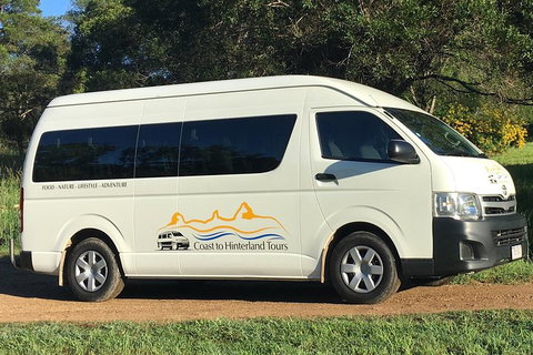 Noosa Everglades Serenity Cruise & Highlights Tour Inc. Lunch & Cruise - Hervey Bay Accommodation 5