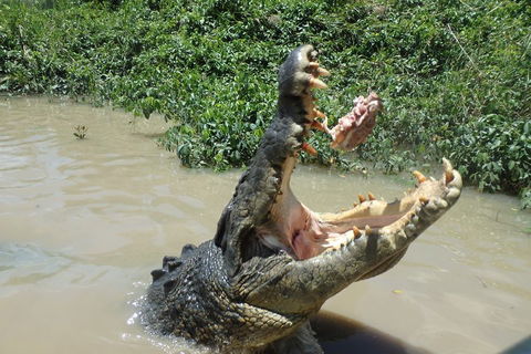 Litchfield And Jumping Crocodiles Full Day Trip From Darwin - Hervey Bay Accommodation 3