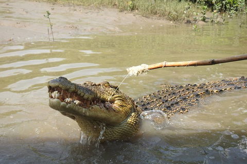 Litchfield And Jumping Crocodiles Full Day Trip From Darwin - Hervey Bay Accommodation 4