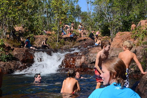 Litchfield And Jumping Crocodiles Full Day Trip From Darwin - Hervey Bay Accommodation 5