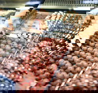 Pinnacles Desert Private Tour - Hervey Bay Accommodation