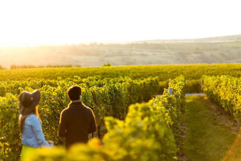 Margaret River Private Tour - Tourism Hervey Bay 2