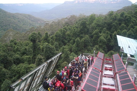 Blue Mountains Private Tour With Wildlife Park And River Cruise - Hervey Bay Accommodation 1