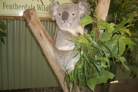 Blue Mountains Private Full-Day Tour From Sydney With Cruise - Hervey Bay Accommodation 0