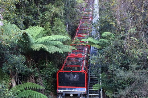 Blue Mountains Private Full-Day Tour From Sydney With Cruise - Hervey Bay Accommodation 5
