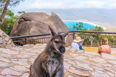 Wineglass Bay & Freycinet NP Full Day Tour From Hobart Via Richmond Village - Hervey Bay Accommodation 0
