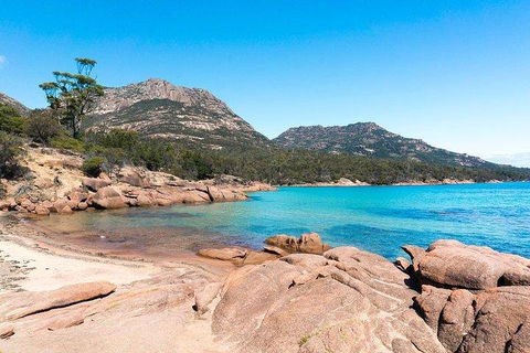 Wineglass Bay & Freycinet NP Full Day Tour From Hobart Via Richmond Village - Hervey Bay Accommodation 5