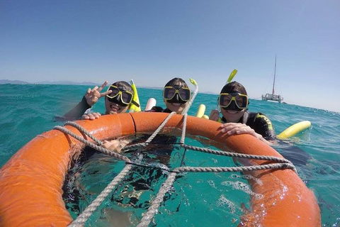 Full-Day Great Barrier Reef Sailing Trip - Hervey Bay Accommodation 0