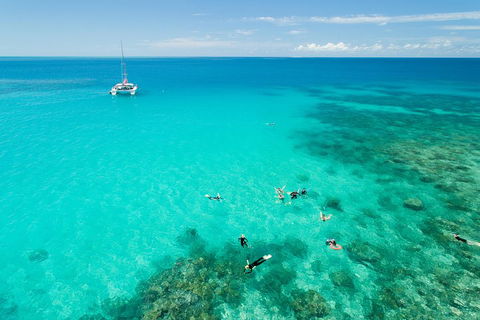Full-Day Great Barrier Reef Sailing Trip - Hervey Bay Accommodation 2