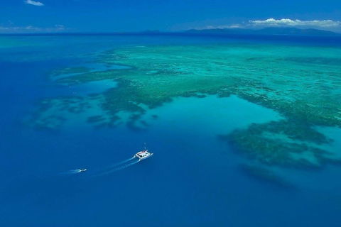 Full-Day Great Barrier Reef Sailing Trip - Hervey Bay Accommodation 3