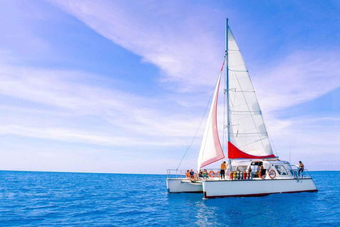 Full-Day Great Barrier Reef Sailing Trip - Hervey Bay Accommodation 4