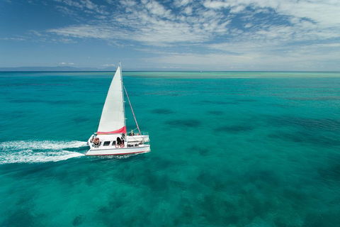 Full-Day Great Barrier Reef Sailing Trip - Hervey Bay Accommodation 5