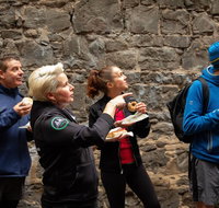 History  Donuts Walking Tour - Hervey Bay Accommodation