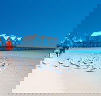 Margaret River and Geographe Bay Region Day Trip from Perth - Hervey Bay Accommodation