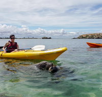 Seal Island and Penguin Island or Point Peron Sea Kayak Tour - Hervey Bay Accommodation