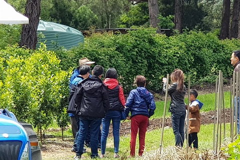 Dandenong Ranges And Rayners Orchard Tour From Melbourne - Hervey Bay Accommodation 4