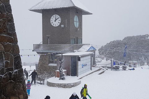 Mt Buller Day Trip From Melbourne - Tourism Hervey Bay 0