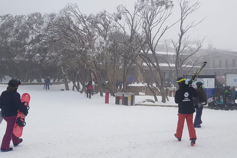 Mt Buller Day Trip From Melbourne - Tourism Hervey Bay 1