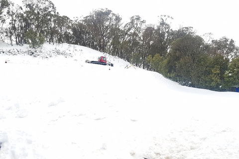 Mt Buller Day Trip From Melbourne - Tourism Hervey Bay 2