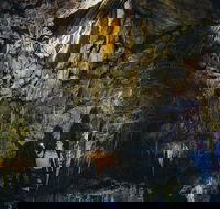 Ngilgi Cave Semi-guided Tour - Tourism Hervey Bay