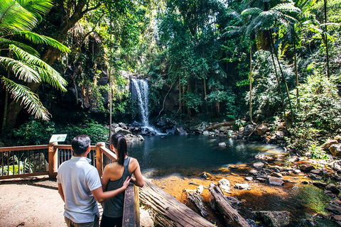 Aquaduck & Your Choice Of Gold Coast Rainforest Tour - Tourism Hervey Bay 0