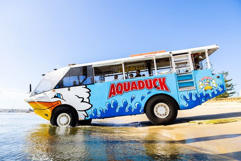 Aquaduck & Your Choice Of Gold Coast Rainforest Tour - Tourism Hervey Bay 3