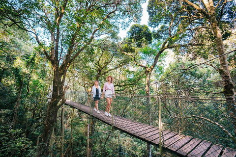 Aquaduck & Your Choice Of Gold Coast Rainforest Tour - Tourism Hervey Bay 4
