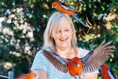 Aquaduck & Your Choice Of Gold Coast Rainforest Tour - Tourism Hervey Bay 5