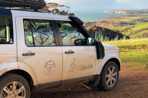 Kangaroo Island 4WD Tour - Best Of KI In 2 Days - Hervey Bay Accommodation 4