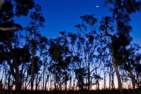 Small-Group Kangaroo Island 4WD Night Tour - Hervey Bay Accommodation 2