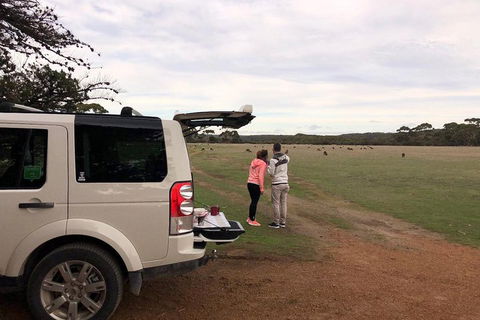 Kangaroo Island 4WD Tour - Flinders Chase - Tourism Hervey Bay 3