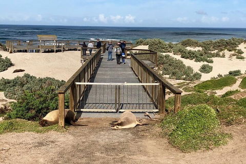 Kangaroo Island 4WD Tour - Best Of KI - Hervey Bay Accommodation 2