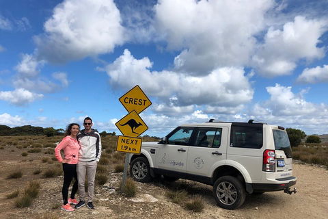 Kangaroo Island 4WD Tour - Best Of KI - Hervey Bay Accommodation 5