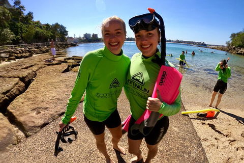 Manly Snorkel Trip And Nature Walk With Local Guide - Tourism Hervey Bay 1