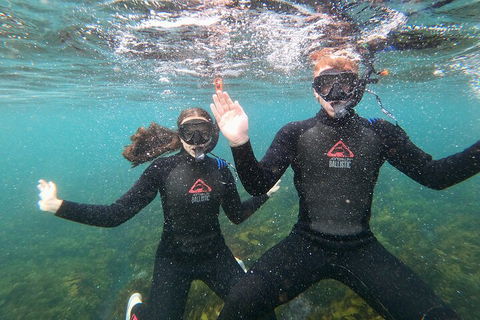 Manly Snorkel Trip And Nature Walk With Local Guide - Tourism Hervey Bay 3