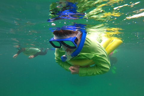 Manly Snorkel Trip And Nature Walk With Local Guide - Tourism Hervey Bay 5