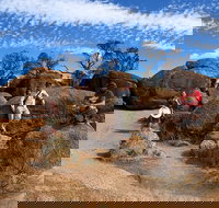 The Big Wave Rock Private Day Tour - Hervey Bay Accommodation