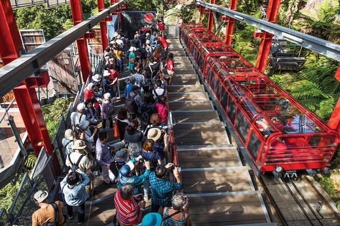 Private Guided Tour: Blue Mountains Tour From Sydney - Tourism Hervey Bay 1