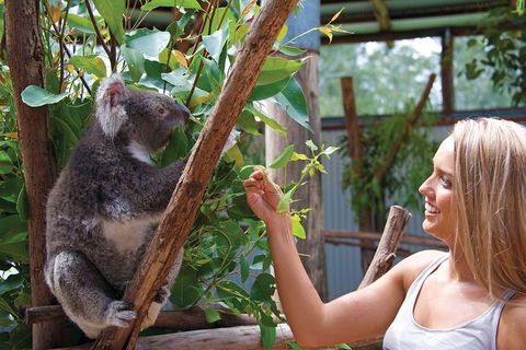 Private Guided Tour: Blue Mountains Tour From Sydney - Tourism Hervey Bay 5