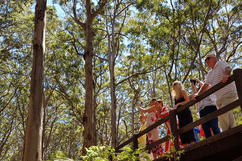 The All About Margaret River Tour: Wine, Coffee, Lunch And Forest - Tourism Hervey Bay 3