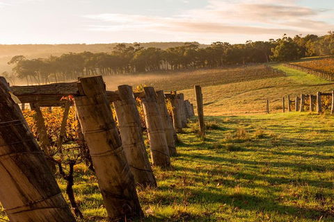 The All About Margaret River Tour: Wine, Coffee, Lunch And Forest - Tourism Hervey Bay 5