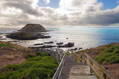 Healesville Sanctuary And Phillip Island Wildlife Bus Tour - Tourism Hervey Bay 5