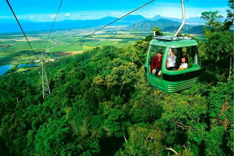 4-Day Cairns Ultimate Combo: Daintree Rainforest, Reef, Kuranda & Paronella Park - Hervey Bay Accommodation 1
