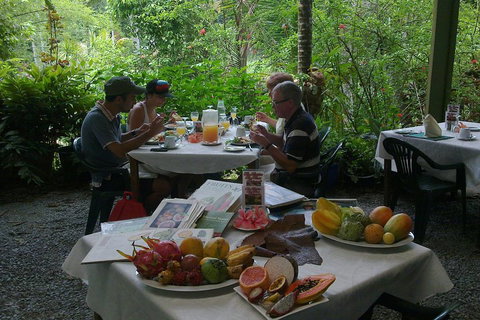 4-Day Cairns Ultimate Combo: Daintree Rainforest, Reef, Kuranda & Paronella Park - Hervey Bay Accommodation 4
