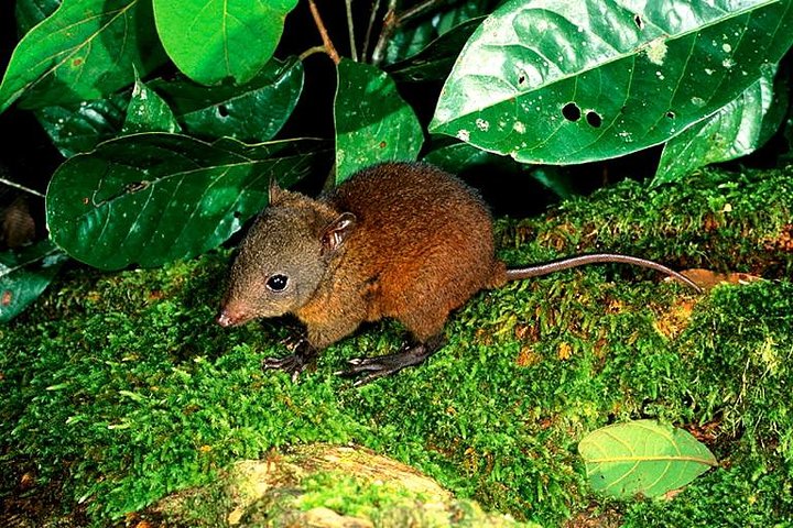 Mooroobool QLD Hervey Bay Accommodation